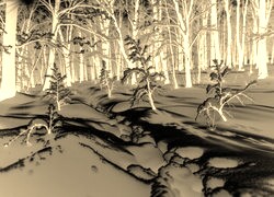 Sepia + Negatyw