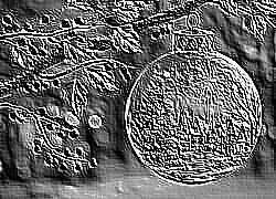 Skamielina