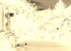Sepia + Negatyw