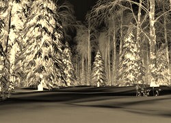 Sepia + Negatyw