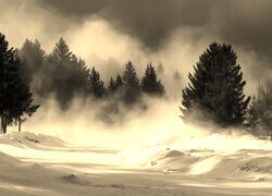 Szary + Sepia