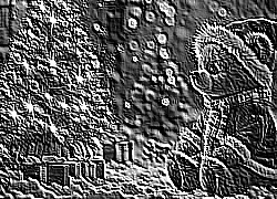 Skamielina