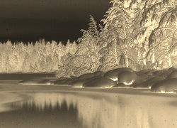 Sepia + Negatyw