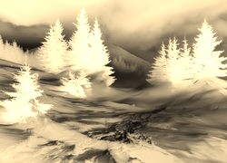 Sepia + Negatyw