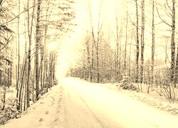 Szary + Sepia