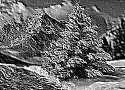 Skamielina