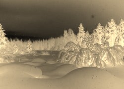 Sepia + Negatyw