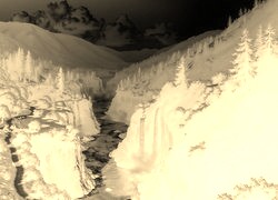 Sepia + Negatyw