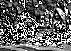 Skamielina