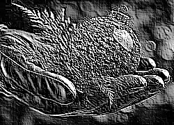 Skamielina
