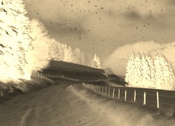 Sepia + Negatyw