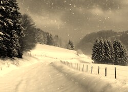 Sepia