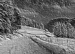 Skamielina