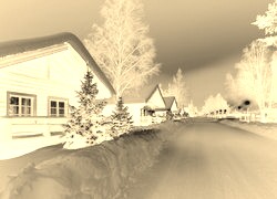 Sepia + Negatyw
