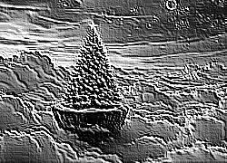 Skamielina