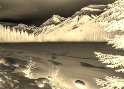 Sepia + Negatyw