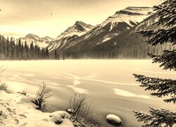 Sepia