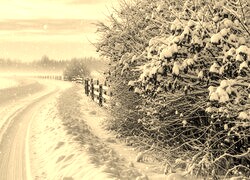 Sepia