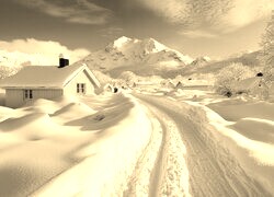 Szary + Sepia