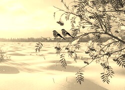 Szary + Sepia