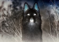 Negatyw