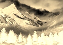 Sepia + Negatyw