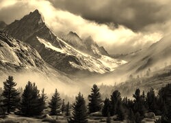 Sepia