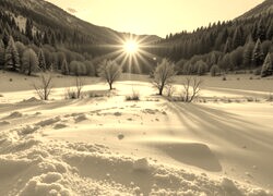Sepia