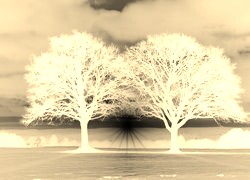 Sepia + Negatyw