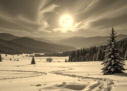 Sepia