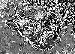 Skamielina