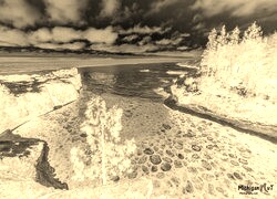 Sepia + Negatyw