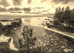 Szary + Sepia