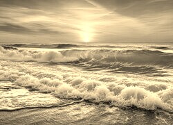 Sepia
