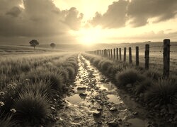 Sepia