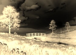 Sepia + Negatyw