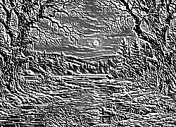 Skamielina