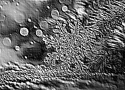 Skamielina