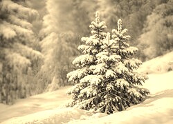 Sepia