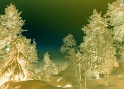 Negatyw
