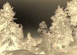 Sepia + Negatyw