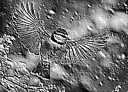 Skamielina
