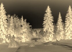 Sepia + Negatyw