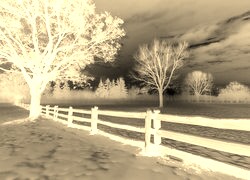 Sepia + Negatyw