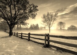 Szary + Sepia