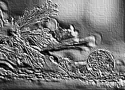 Skamielina