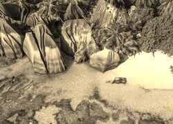 Szary + Sepia