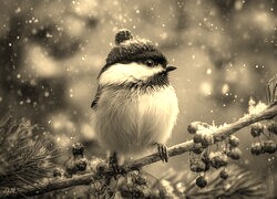 Sepia