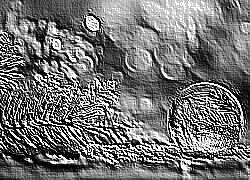 Skamielina