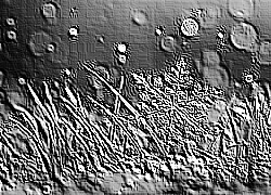 Skamielina